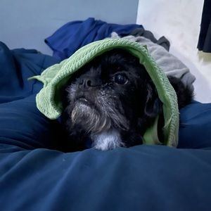 Meet your Posher, Riot